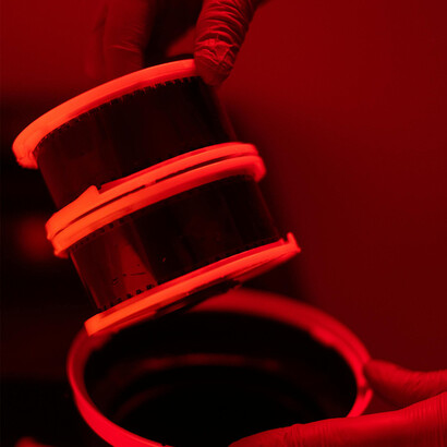 Rolo de filme. Não pretendo, contudo, levar a cabo qualquer tentativa de classificar aqueles que considero os melhores filmes de sempre