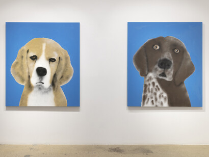 Ricardo Passaporte. Best In Show, installation view. Courtesy of Steve Turner