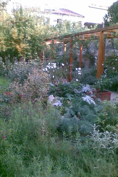Giardino con bordure miste e pergola