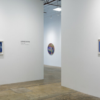 Lovie Olivia, Loose leaf, exhibition view. Courtesy of Erin Cluley Gallery