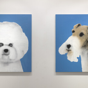 Ricardo Passaporte. Best In Show, installation view. Courtesy of Steve Turner