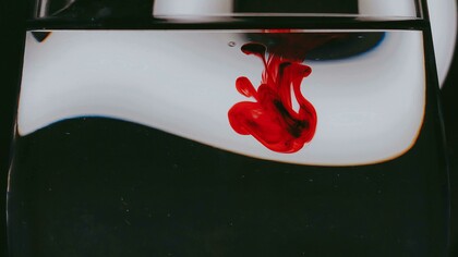 Macchia di rosso su sfondo bianco e nero. Analisi del colore rosso nelle opere di Berni e Grela: significati e influenze