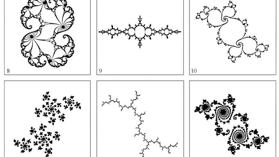 Vita e Natura. Una visione sistemica