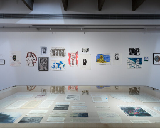 Raymond Pettibon. Courtesy of Garage Museum of Contemporary Art