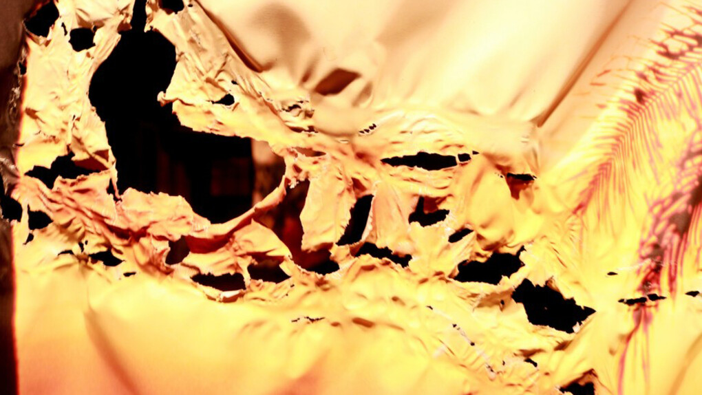 Arielle Falk. Courtesy of Halsey McKay Gallery