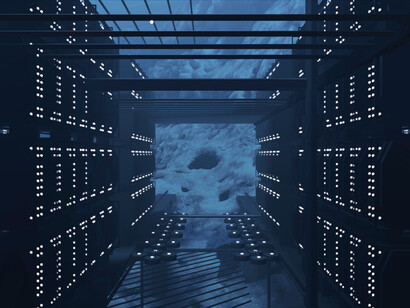 Emilija Škarnulytė, Rakne. Courtesy of Tate St Ives 