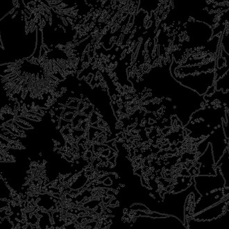 Patryk Kulig, Cryptoflora (detail) Buch, 2022. Mit freundlicher genehmigung von Kulturforum 