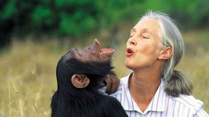 Jane Goodall, one of the most prestigious and well-known women around the world for her research 