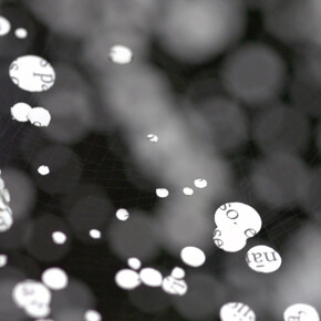 Rivane Neuenschwander. Courtesy of Fortes D’Aloia & Gabriel