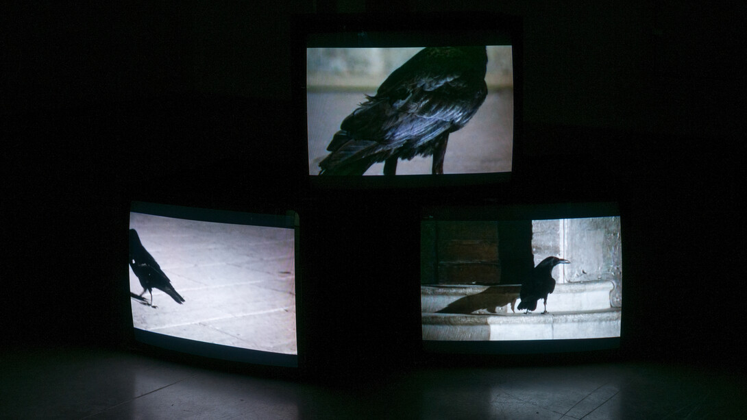 Douglas Gordon,  Looking Down With His Black, Black Ee, 2008, Artist Rooms, Presented by the artist jointly to Tate and National Galleries of Scotland 2012, Image courtesy Studio lost but found, Berlin, © Studio lost but found / DACS 2014, Photo Studio lost but found/Frederik Pederson
