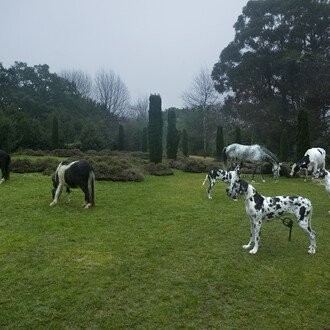 Bethan Huws, Black and white animals, 2009, Colour inkjet print on Hahnemühle paper, 100 x 106 cm, Courtesy of the artist, Copyrights Bethan Huws & A.D.A.G.P. Paris, 2015, Photograph : Filipe Braga