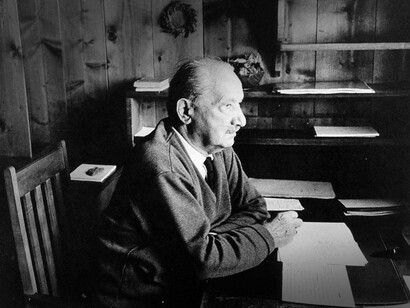 La obra de Martin Heidegger influyó sobre todo en la fenomenología y en la filosofía europea contemporánea, pero también  en campos como la arquitectura, la crítica literaria, la teología y las ciencias cognitivas