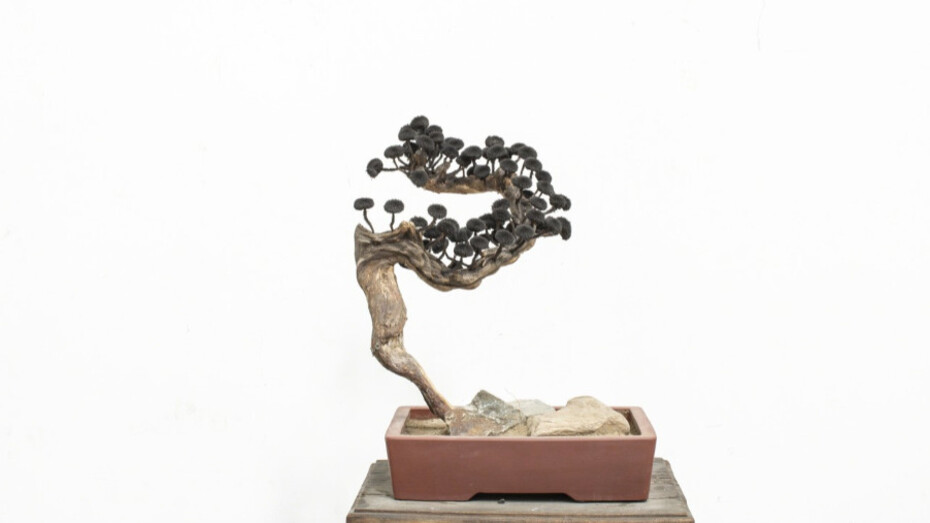 Hidden Force. Courtesy of 10 Chancery Lane Gallery