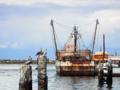 The port town of Guiria