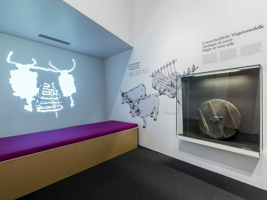 Heavy Metal, Exhibition view. Courtesy of Museo Archeologico dell’Alto Adige