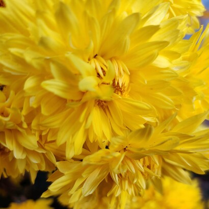 In alcuni stati come Tamil Nadu o Andhra Pradesh, le disuguaglianze sociali si manifestano soprattutto tra città sviluppate e villaggi agricoli più isolati