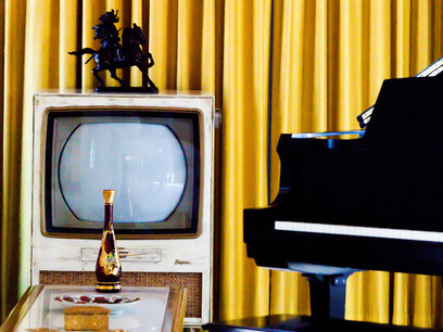 The Ghost That Lives in Elvis Presley's Television Set © Thomas Hawk