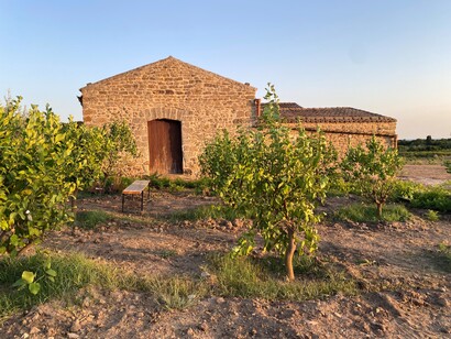 Oasi nel Parco Archeologico di Selinunte. Foto di Germana Cabrelle