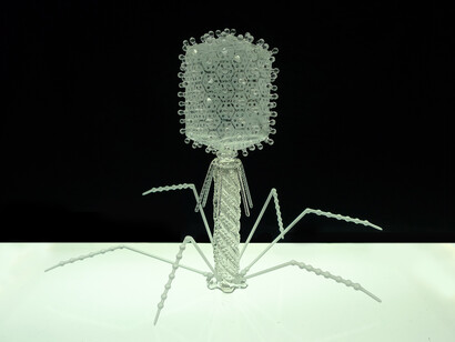 Bacteriófago T4. Fotografía de Luke Jerram