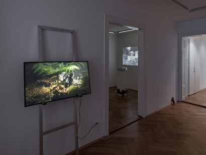 Paul Valentin, Zharroktal, ausstellungsansicht. Mit freundlicher genehmigung der Galerie Britta Rettberg