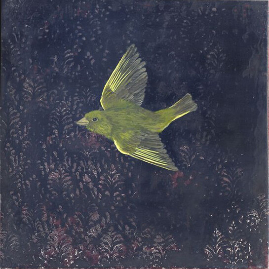 Melanie Miller, Greenfinch III, 2014, oil on gessoed board, 30 x 30 cm