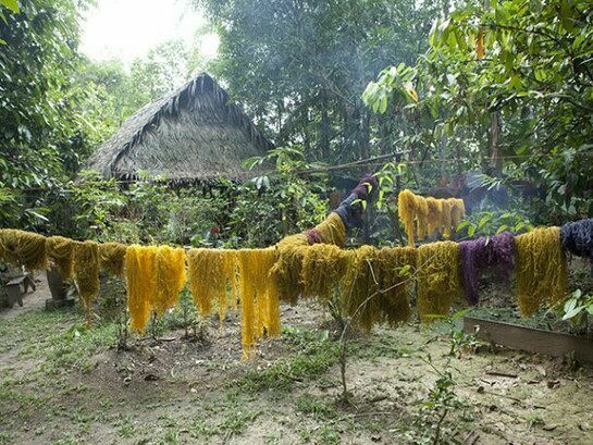 Susana Mejia (b. 1978). Tinted fique fibers drying in the Amazon, from Color Amazonia, 2006-2013. Courtesy of the artist.