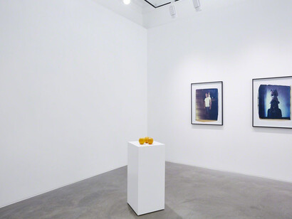 Erwin Wurm. Courtesy of Lehmann Maupin