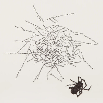 Johanna Calle Colombian, Sin título (Arañas) Antiquus editores, Bogotá, Colombia, 2015. Courtesy of Ruiz-Healy Art