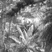 Ana Torfs. Courtesy of Pori Art Museum