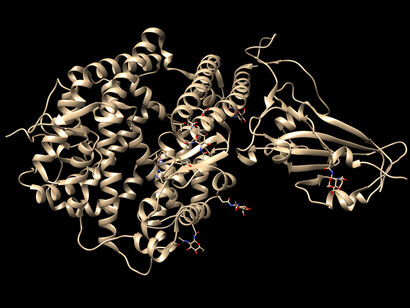 Representación visual de la estructura tridimensional de una proteína. El proteoma es dinámico y contextual: cambia con la edad, el tejido, el ambiente y la enfermedad