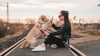 Los animales sienten alegría, tristeza, dolor, placer, miedo, seguridad y todos los demás sentimientos al igual que nosotros