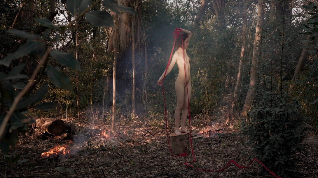 Delia Cancela, Pies en la tierra, ojos en el cielo, pajaros en la cabeza (video performance), 2022. Cortesía de Galería Nora Fisch 