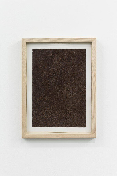 The Pathos of Things. Courtesy of 3+1 Arte Contemporanea 