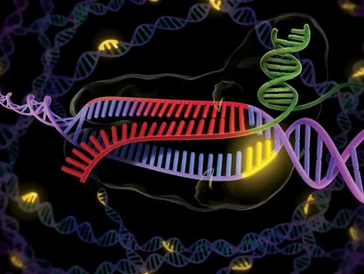 Base-editing of DNA strands