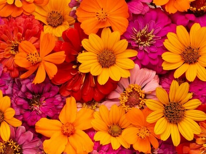 Cuando es verdadero nadie puede huir de él. delicado como la brisa   
y suave su aroma como el de una rosa