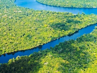 Floresta Amazônica no Brasil