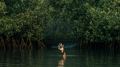 Una mano spunta da uno stagno. Nei gialli, punto focale della trama è l'omicidio, compiuto ogni volta nei modi più diversificati