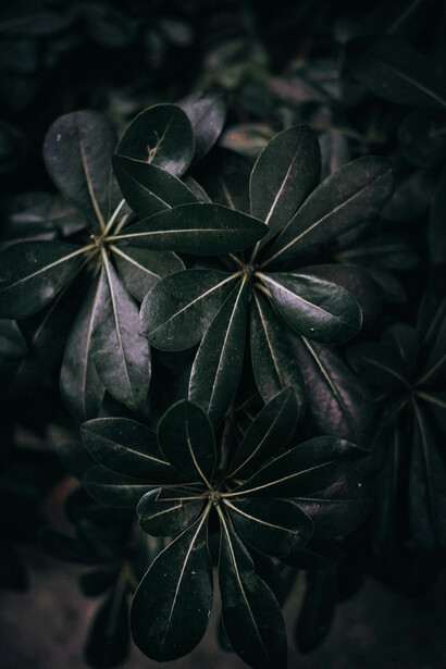 Una crisis de ansiedad marca un punto de inflexión, impulsando la necesidad de priorizar el bienestar y buscar aquello que realmente genera satisfacción