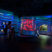 Water Planet. Courtesy of California Academy of Sciences