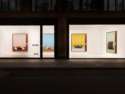 A Burn Scar Visible from Space. Courtesy of Gagosian Gallery