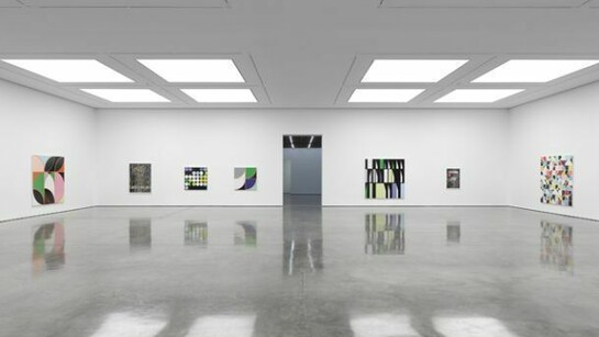 Sarah Morris, Bye Bye Brazil, White Cube Bermondsey, 17 July - 29 September 2013, © Sarah Morris, Photo: Ben Westoby, Courtesy White Cube