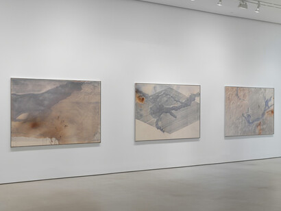 Daniel Lefcourt. Courtesy of Mitchell-Innes & Nash