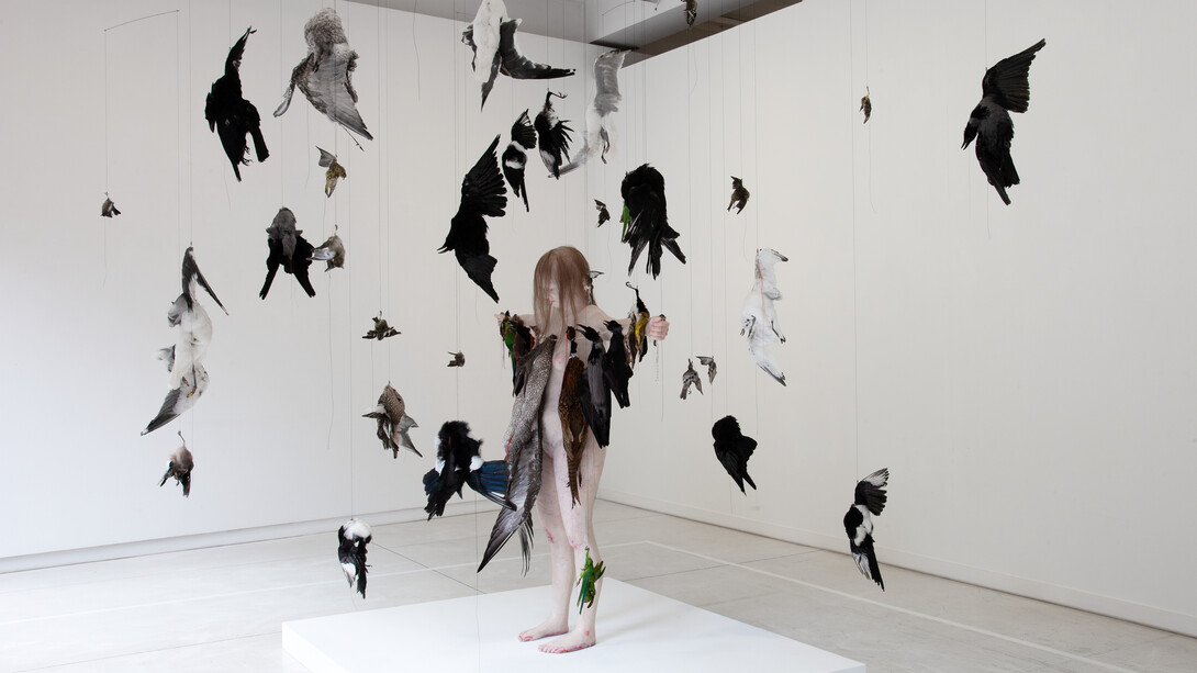Touch nature, ausstellungsansicht. Mit freundlicher genehmigung des Lentos Kunstmuseum