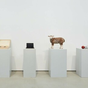 Ahn Kyuchul Words Just for You, Exhibition view. Courtesy of Kukje Gallery