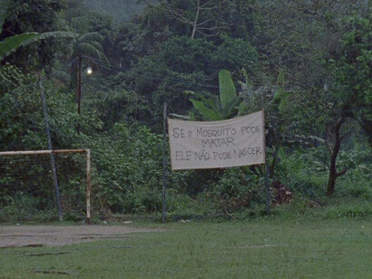 Pedro Neves Marques. Courtesy of Pérez Art Museum