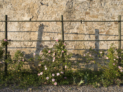 Il giardino di Santa Maria Novella