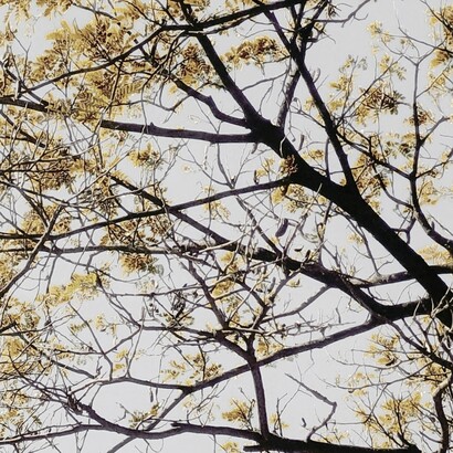 La complessità non si capisce solo studiandola: bisogna anche farne esperienza nella vita quotidiana, nelle relazioni e nelle emozioni