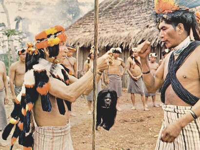 La lengua Shuar pertenece a la familia lingüística jívaroana y es hablada por más de 50.000 personas en la región