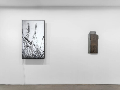 Niamh O'Malley, exhibition view. Courtesy of Brigitte Mulholland Gallery