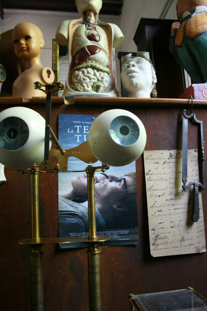 The collection of Fausto Gazzi